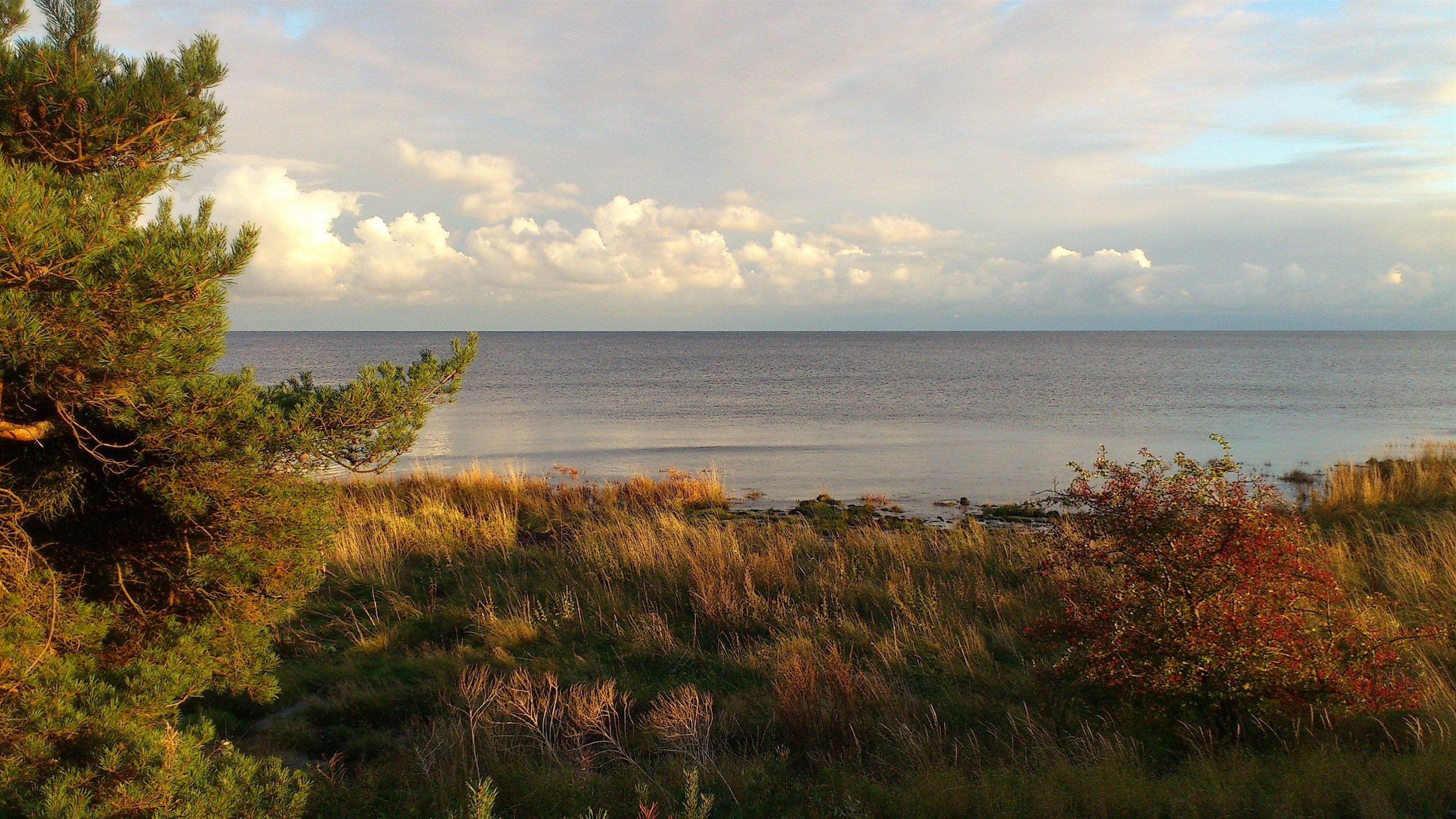 Askespredning i Rønne, Nexø & Aakirkeby